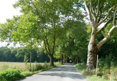 Randonnée A pied Inconnu - Westerfilde Rundweg A2 - Photo