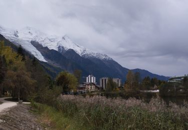 Tocht Stappen Chamonix-Mont-Blanc - 20241012 Chamonix Les Nants - Photo