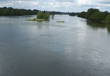 Randonnée Marche Muides-sur-Loire - muides 2019 - Photo