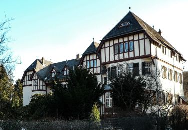 Tour Zu Fuß Oberursel - Urselbach Mühlenwanderweg - Photo