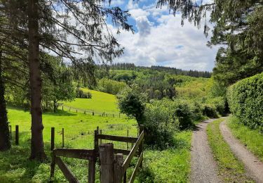 Tour Wandern Neupré - Autour de Houte-Si-Plou - Photo