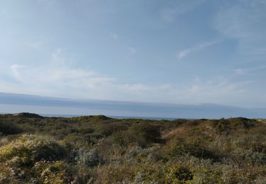 Tocht Stappen Leffrinkhoeke - Dune leffrinckoucke - Photo