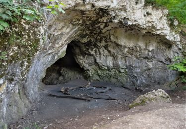 Percorso A piedi Csobánka - Mackó-barlang ösvény (Csobánka, Oszoly-pihenő - Mackó-barlang - Csobánka, Oszoly-pihenő) - Photo
