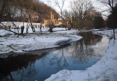 Randonnée A pied Bad Blankenburg - Grünes Kreuz Bad Blankenburg - Hainberg - Oberwirbach - Photo