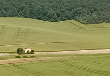 Trail Walking Vauchassis - La Halte Vauchassis - Photo