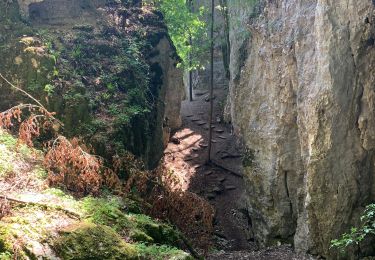 Randonnée Marche Ferrette - Ferrette château et grotte des nains - Photo