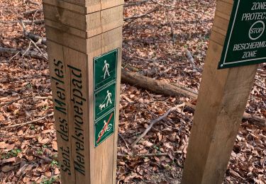 Trail Walking Auderghem - Oudergem - Vallon 3 fontaines BIEN - Photo