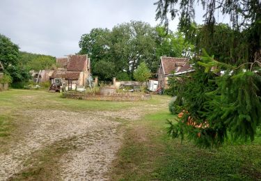 Tocht Stappen Villeneuve-sur-Yonne - Villeneuve sur Yonne 240816 - Photo