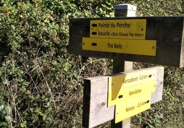 Tour Wandern Belz - 56-Belz_sentier_cotier_11kmD70m - Photo