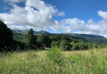 Tocht Stappen Mont-Dore - Zot/fifi/juan 2022 puy gros bourboule - Photo