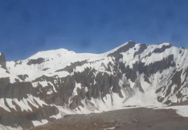 Percorso Sci alpinismo Finhaut - pointe de la terrasse  - Photo