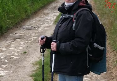 Tour Wandern Jodoigne - Melin - Photo