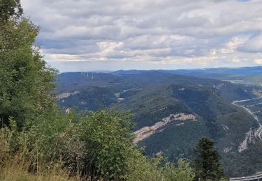 Trail Walking Saint-Martin-du-Frêne - chamoise les monts d'ain - Photo