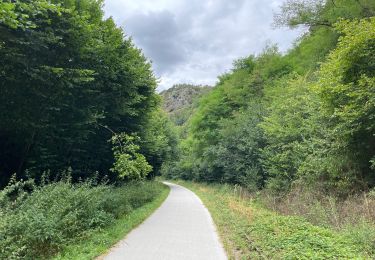 Tocht Wegfiets Montillières-sur-Orne - Voie verte suisse normande - Photo
