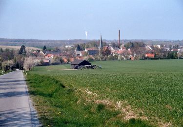 Randonnée A pied Droyßig - Rundweg Mannsdorf - Photo
