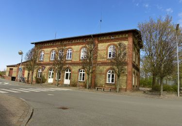 Tour Zu Fuß  - Sporet ved Gasse Høje, rød rute - Photo