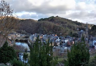 Excursión Senderismo La Roche-en-Ardenne - De La Roche en Ardennes à Beausaint - Photo