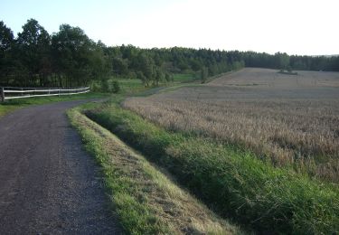 Randonnée A pied Inconnu - Bankerydsleden - Photo