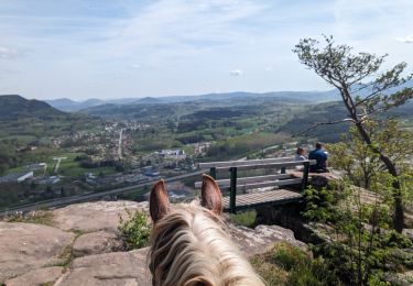 Trail Horseback riding Étival-Clairefontaine - suuntoapp-HorsebackRiding-2024-04-14T08-00-40Z - Photo