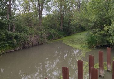 Randonnée Vélo de route Aigues-Mortes - 30 aig mortes vélo st Laurent d aigueze - Photo