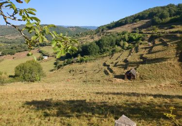 Trail Walking Saint-Christophe-Vallon - le puech du cayla - Photo