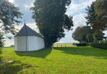 Tour Zu Fuß Vresse-sur-Semois - Se mouvoir et s'émouvoir (2) Laforêt-Oizy - Photo