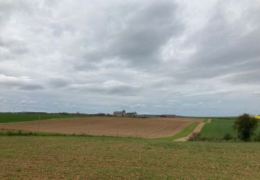 Tocht Stappen Onhaye - Sommière - Photo