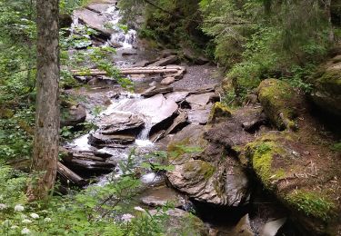 Tocht Stappen Megève - 74 megeve - Photo