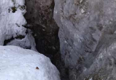 Randonnée Raquettes à neige La Chapelle-en-Vercors - 26 raq claveyron - Photo