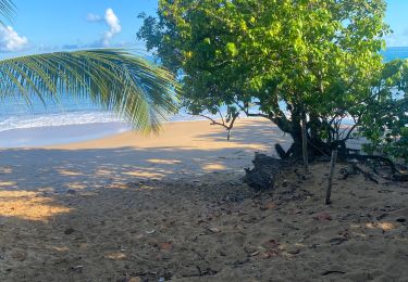 Randonnée Trail Sainte-Rose - Plage cluny - Photo