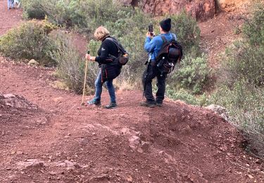 Trail Walking Marseille - La treille - Photo