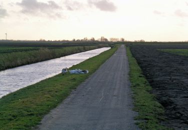 Trail On foot Waddinxveen - Woudloperspad - Photo