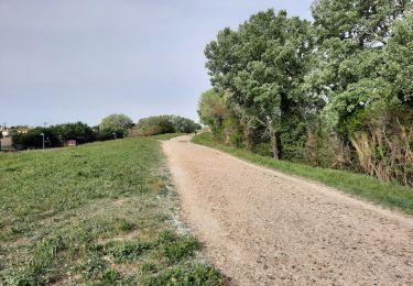 Trail Walking Arles - AT 1 - Photo