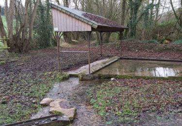 Tour Wandern Valorbiquet - St Cyr du Ronceray  - Photo