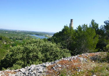 Trail On foot Beaucaire - La Bouteille - Photo