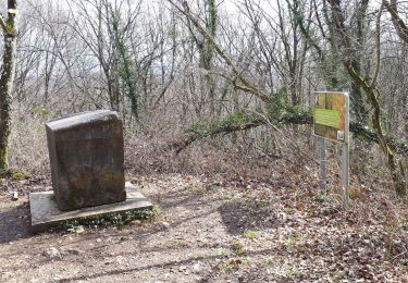 Trail Walking Rochefort - BELVAUX - La Lesse - Photo