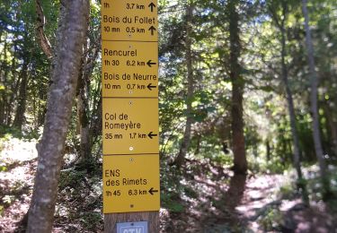 Trail Walking Malleval-en-Vercors - Malleval - tour des coulmes partiel - Photo