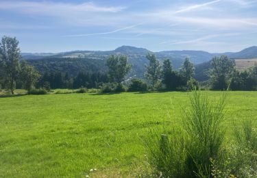 Randonnée Trail Laussonne - Lantriac-Montchamp(23K 620D+) - Photo