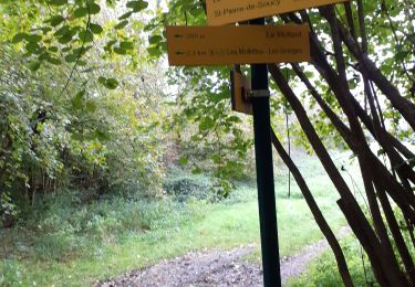 Tour Wandern Les Mollettes - st Hélène du lac - Photo