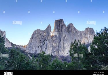 Randonnée Marche Gigondas - Gigondas Les Dentelles Sarrazines les 3yeux 16km - Photo