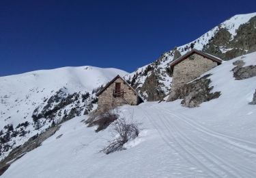Tocht Ski randonnée Valdeblore - Mont Giraud - Photo