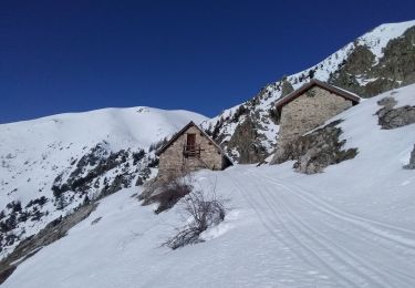 Trail Touring skiing Valdeblore - Mont Giraud - Photo