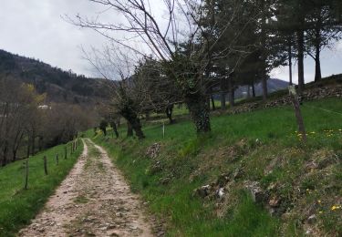 Trail Walking Prades - Balade Prades-Le Courtiol-Bois la Peyre-Sausse - Photo