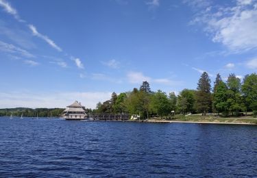 Trail Motorboat Montsauche-les-Settons - Balade bateau le Morvan - Photo