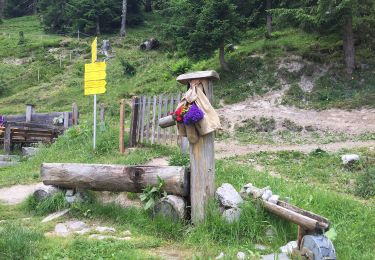 Tour Zu Fuß Ramsau am Dachstein - Fünf-Hütten-Weg 