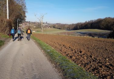 Randonnée Marche Jemeppe-sur-Sambre - 2019-01-19 Spy 24 km - Photo