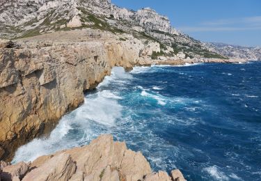 Trail Walking Marseille - callelongue  à les queyrons par la Galinette  - Photo