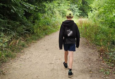 Tocht Stappen Plestin-les-Grèves - 2024 RA Bretagne  St Efflam - Locquirec  - Photo