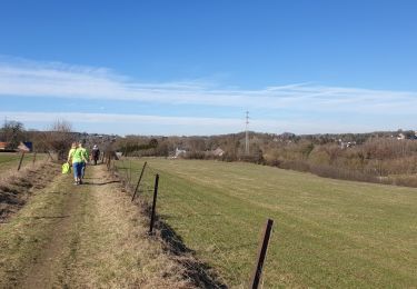 Trail Walking Montigny-le-Tilleul - Marche Adeps à Montigny-le-Tilleul - Photo
