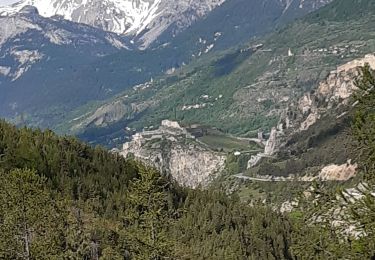 Tocht Stappen Val-des-Prés - fort dauphin - Photo